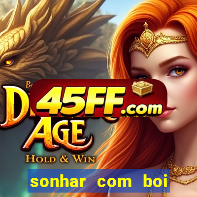 sonhar com boi jogo do bicho